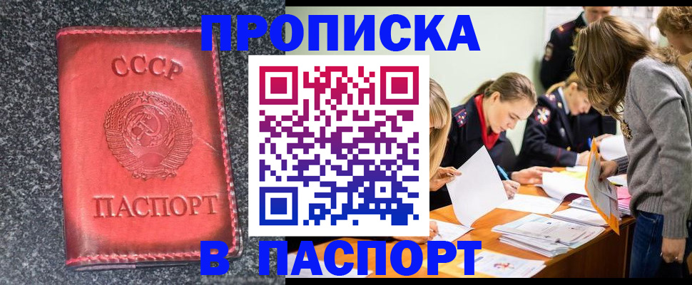 прописка для школы в Братске